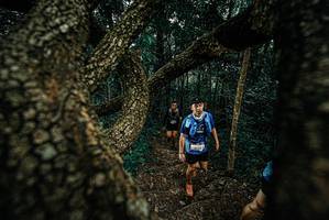 BIB: 
                            <button type="button" onclick="openModal(25696137)" class="btn btn-primary btn-sm float-right btn-popup" data-toggle="modal" data-target=".modal-high-quality">
                        <i class="fas fa-shopping-cart"></i> Add to Cart
                    </button>
                                            <button type="button" onclick="isThisMe(25696137, true)" class="btn btn-success btn-sm float-right btn-popup btn-isme hidden" data-toggle="tooltip" data-placement="bottom" title="นี่คือรูปของคุณใช่ไหม คลิกที่นี่เพื่อเอาเข้าอัลบั้ม">
                        <i class="fas fa-plus"></i> Add to album
                    </button>
                    <button type="button" onclick="isThisMe(25696137, false)" class="btn btn-warning btn-sm float-right btn-popup btn-isnotme hidden">
                        <i class="fas fa-ban"></i> Remove from album
                    </button>